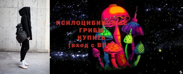 Альфа ПВП Зеленокумск